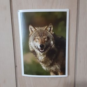 Meet your Posher, Gabriel